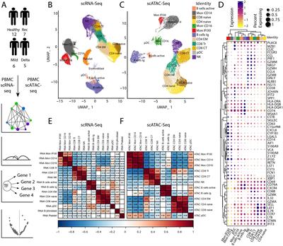 Remodeling of the chromatin landscape in peripheral blood cells in patients with severe Delta COVID-19